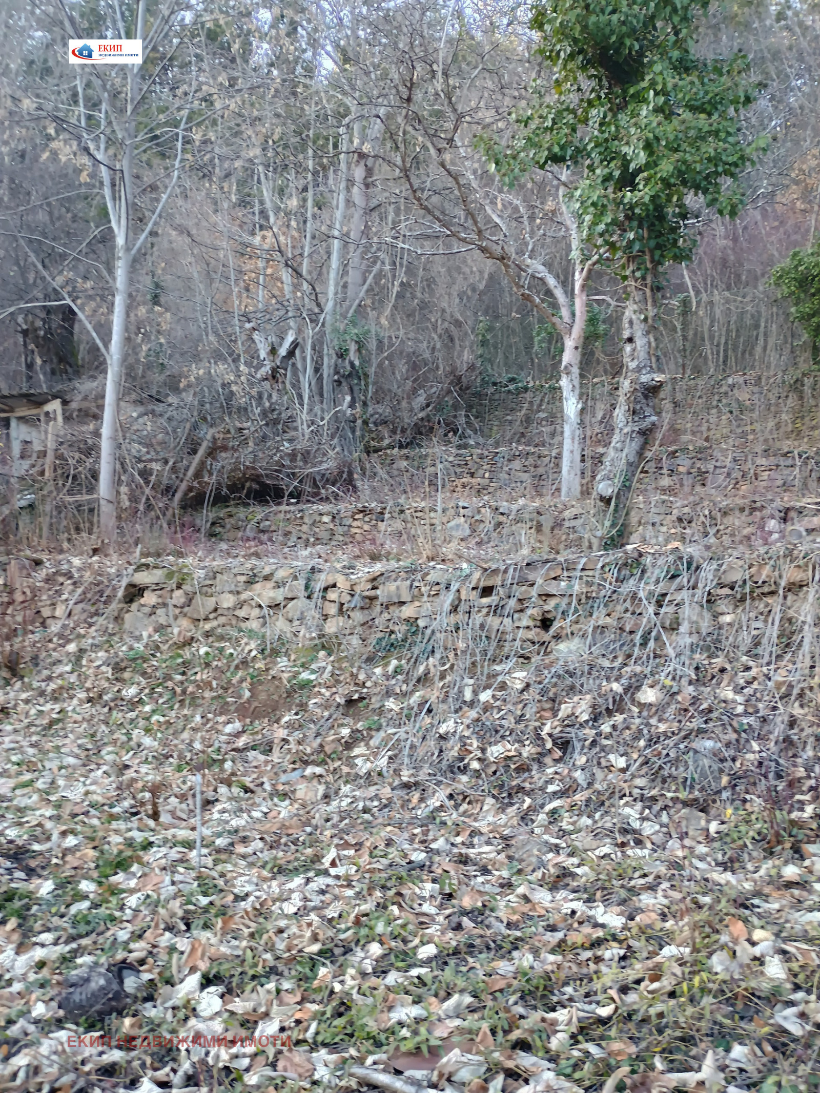 ������� ������ | Imot.bg � ����������� 5