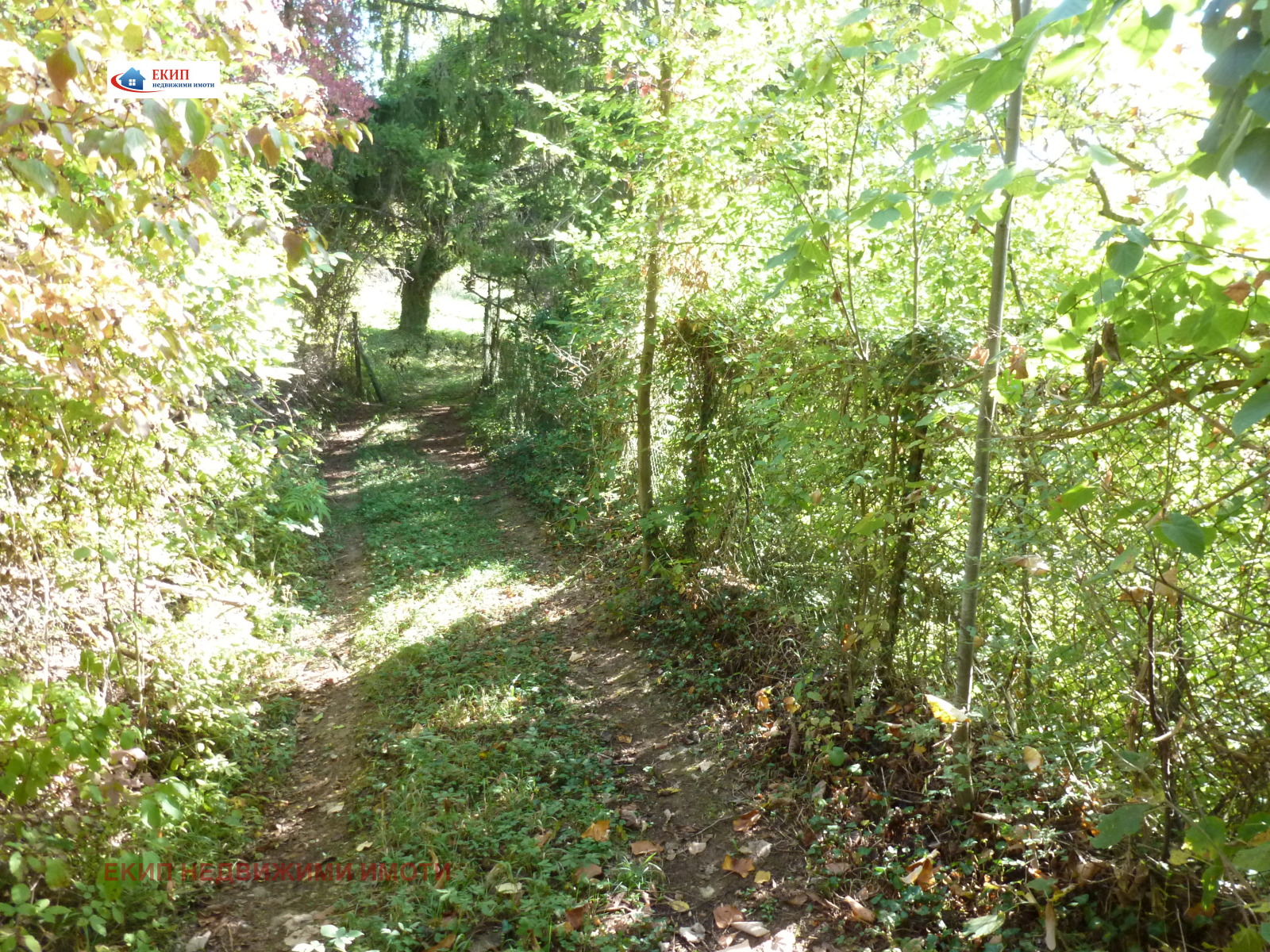 ������� ������ | Imot.bg � ����������� 1