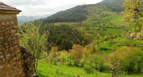 Hus Galabovo, region Plovdiv 2