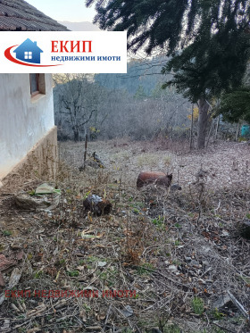 ������� ������ | Imot.bg � ����� ������ 13