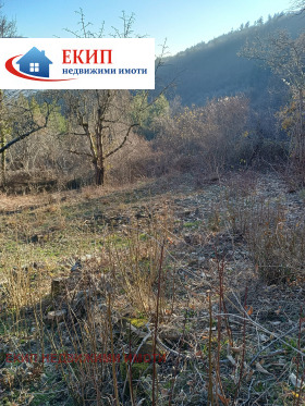 ������� ������ | Imot.bg � ����� ������ 10