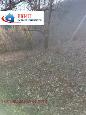 ������� ������ | Imot.bg � ����� ������ 8