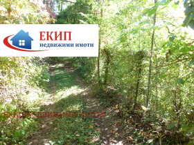 ����� ������� ������,�. �������, ������ �����