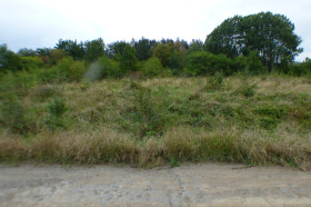 ����� ������� ���������� ����,�. �������, ������ �����������