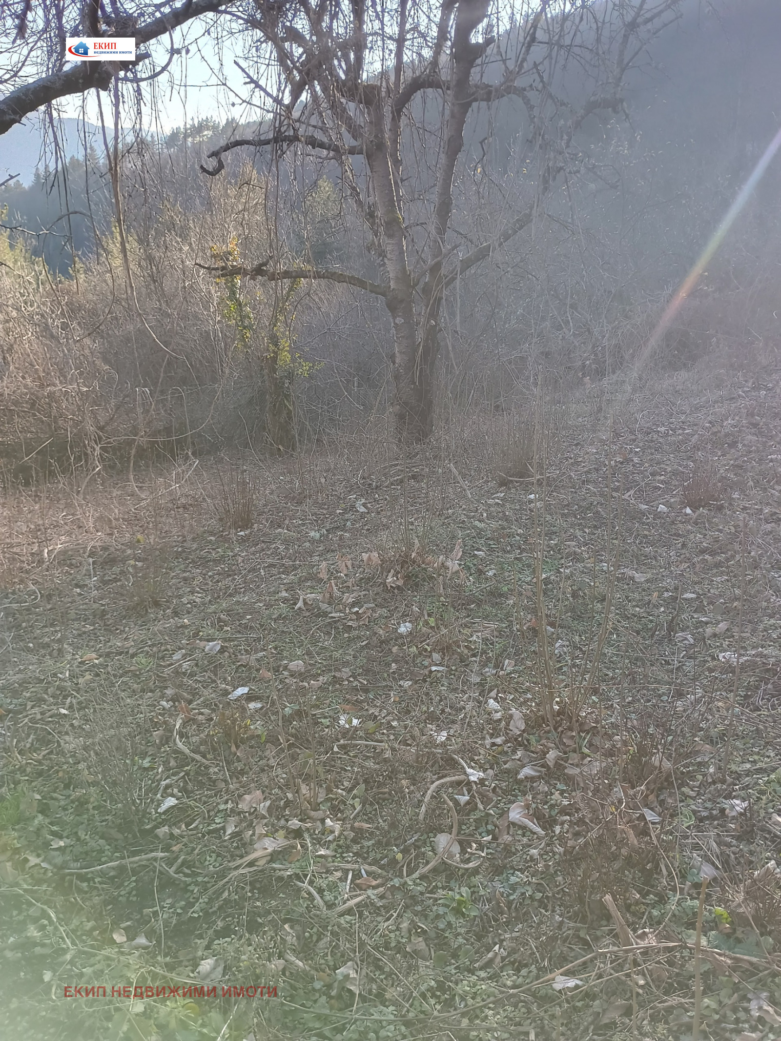 Продава ПАРЦЕЛ, с. Реброво, област София област, снимка 7 - Парцели - 52283516