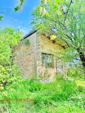 ����� ������� ����,�. ��������, ������ ������