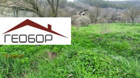 ������ ������� ������