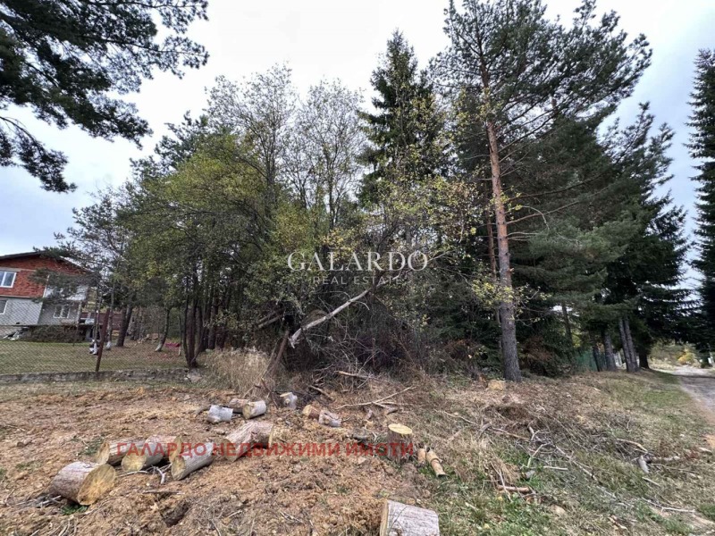 Zu verkaufen  Handlung region Sofia , w.z.Jarema , 1000 qm | 93133900 - Bild [4]