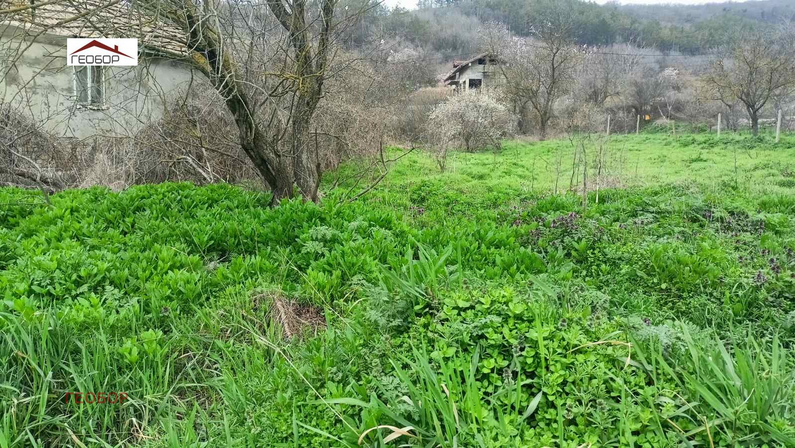 Продава ПАРЦЕЛ, гр. Девня, област Варна