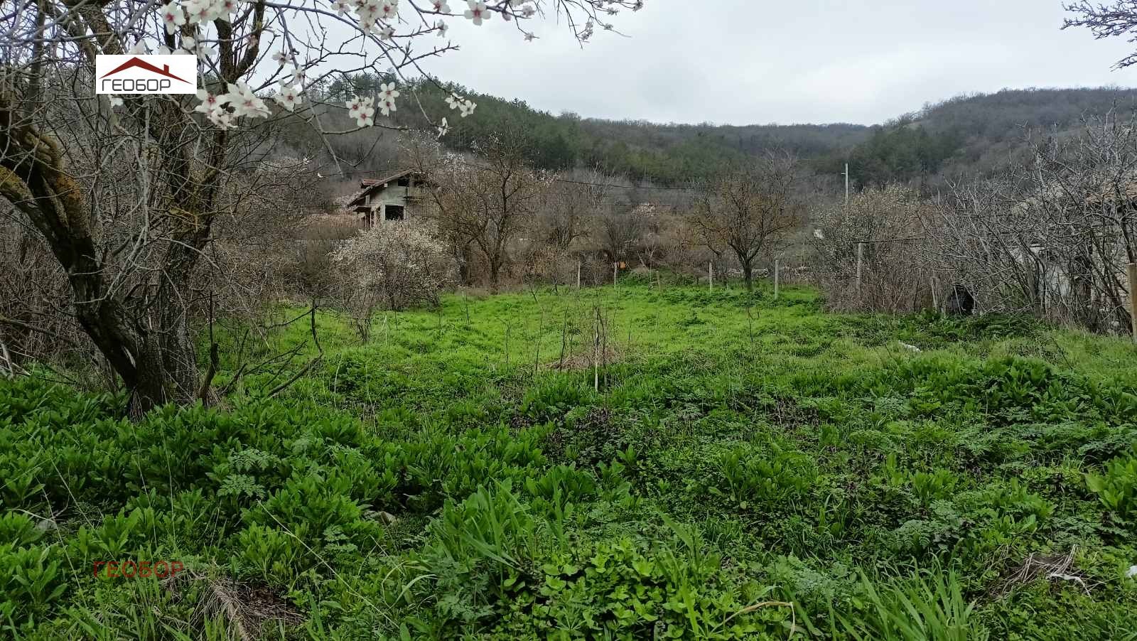 Продава ПАРЦЕЛ, гр. Девня, област Варна, снимка 3 - Парцели - 53944525