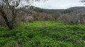 Продава ПАРЦЕЛ, гр. Девня, област Варна, снимка 3