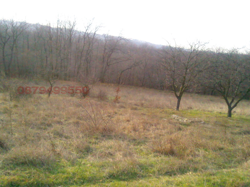 Продава ПАРЦЕЛ, гр. Варна, м-т Боровец - юг, снимка 2 - Парцели - 52784303