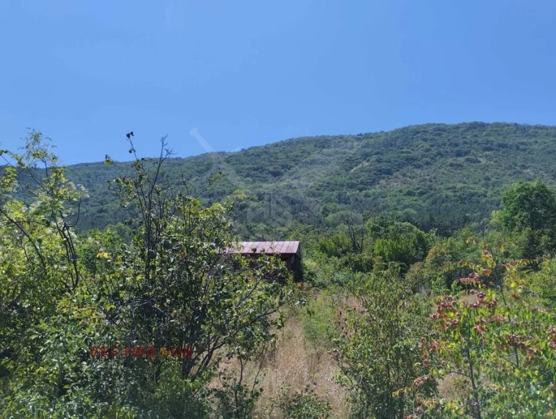 Продава ПАРЦЕЛ, област Пловдив, гр. Асеновград • 60000 € • 91887475 — Holmes.bg