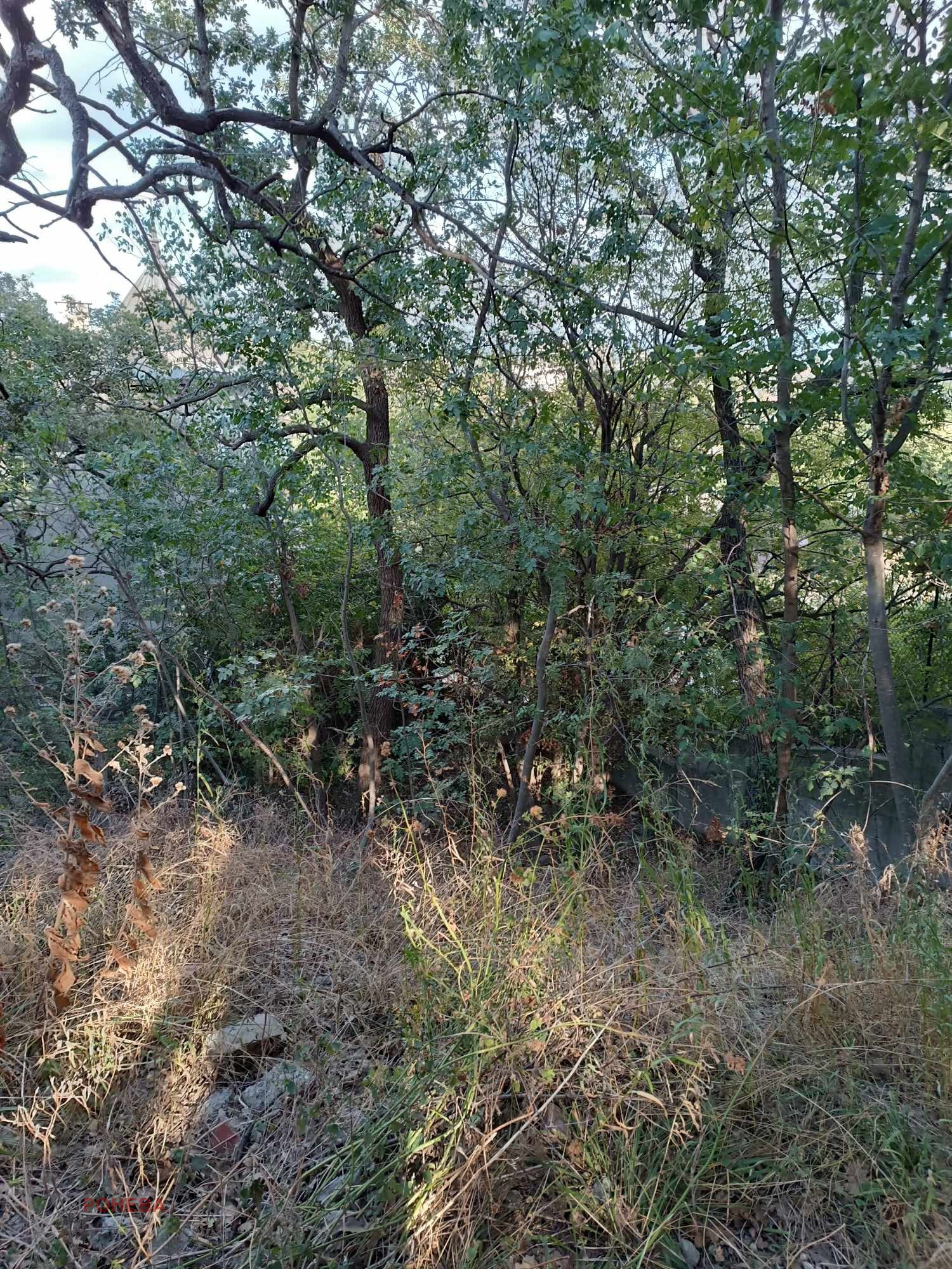 Продава ПАРЦЕЛ | Imot.bg — изображение 2