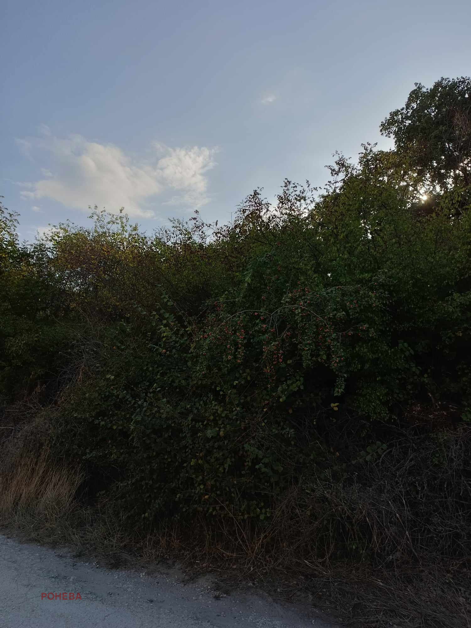 Продава ПАРЦЕЛ | Imot.bg — изображение 4