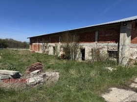 ����� ������� �����,�. ���������, ������ ������