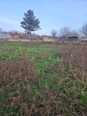 ������ ������� ������