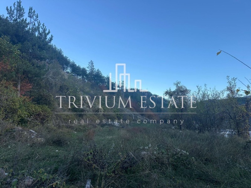 Продава ПАРЦЕЛ, гр. Девин, област Смолян, снимка 5 - Парцели - 52649882