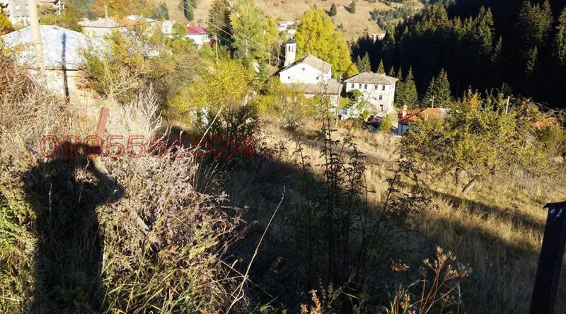 Продава ПАРЦЕЛ, с. Стойките, област Смолян, снимка 2 - Парцели - 52781738