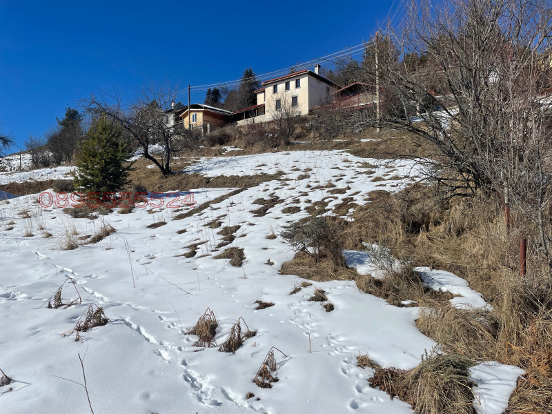 Продава ПАРЦЕЛ, с. Стойките, област Смолян, снимка 7 - Парцели - 52781738