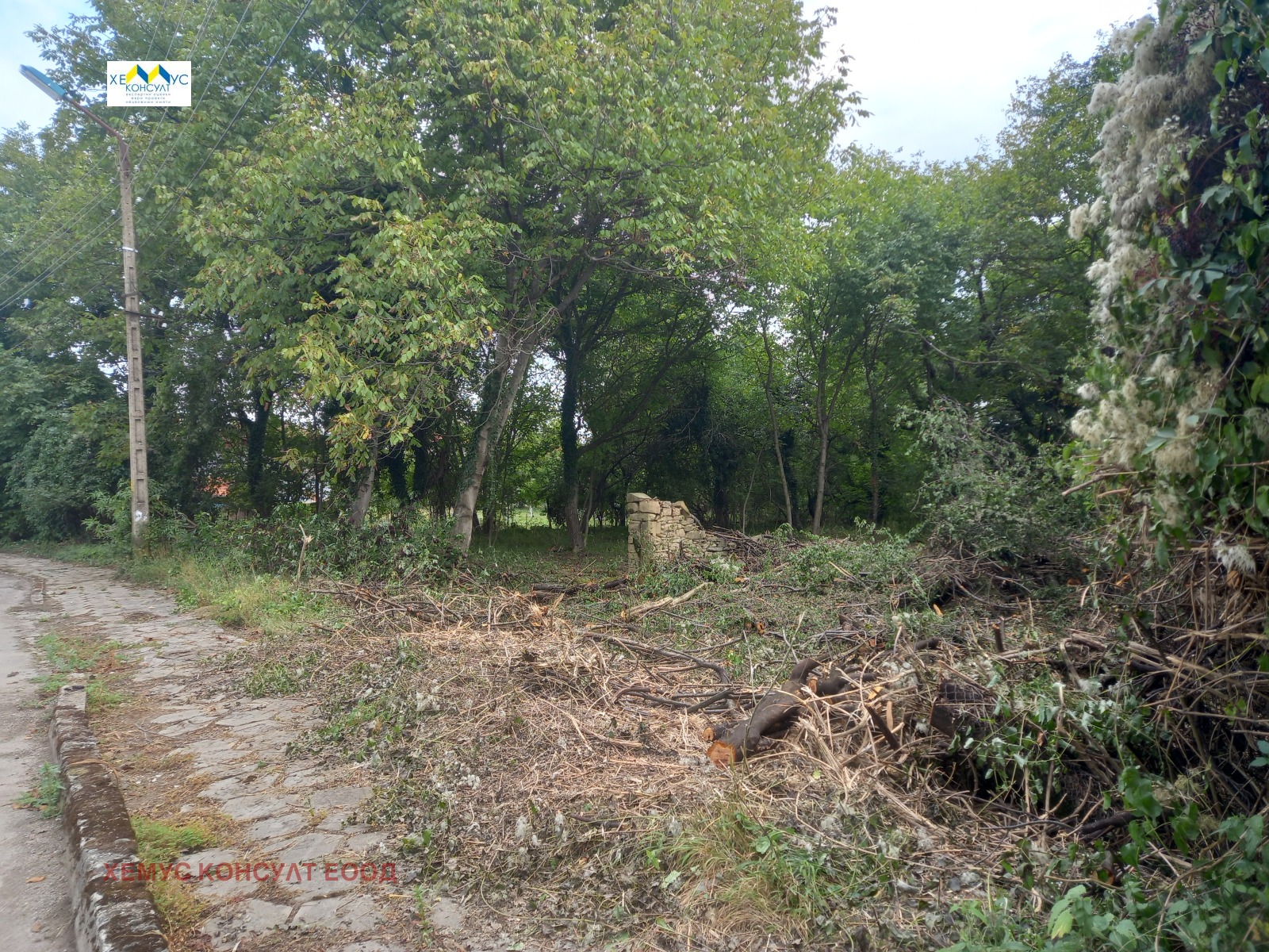 Продава ПАРЦЕЛ, с. Старо село, област Ловеч, снимка 2 - Парцели - 47576622