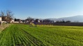 Продава ПАРЦЕЛ, с. Крумово, област Пловдив, снимка 2