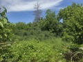 Продава  Парцел област Велико Търново , с. Ресен , 1420 кв.м | 99364442 - изображение [7]