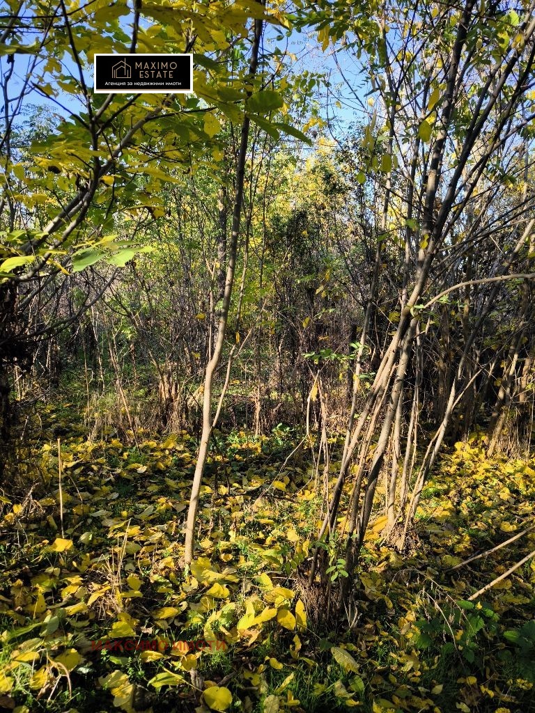 ������� ���� | Imot.bg � ����������� 14