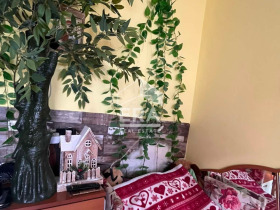 ������� 4-����� | Imot.bg � ����� ������ 6