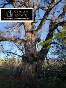 ������� ���� | Imot.bg � ����� ������ 13