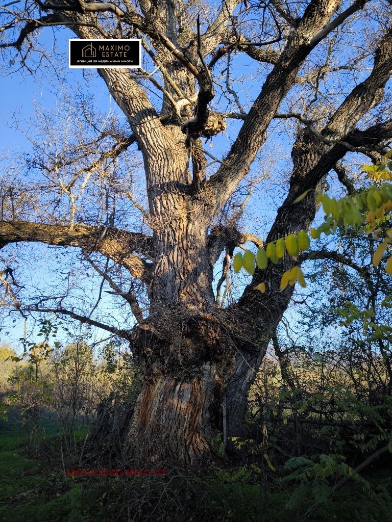 Продава КЪЩА, с. Марково, област Стара Загора, снимка 13 - Къщи - 54213289