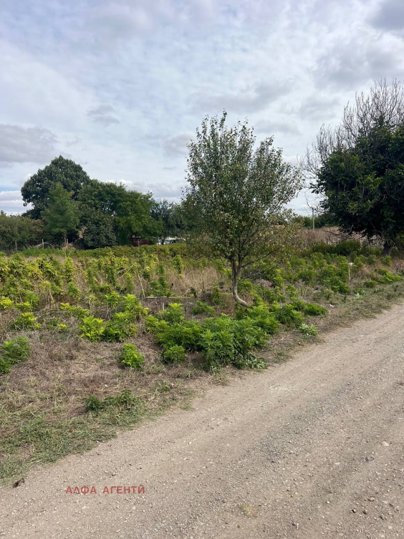 Na sprzedaż  Działka region Warny , Gabarnica , 985 mkw | 56001495 - obraz [6]