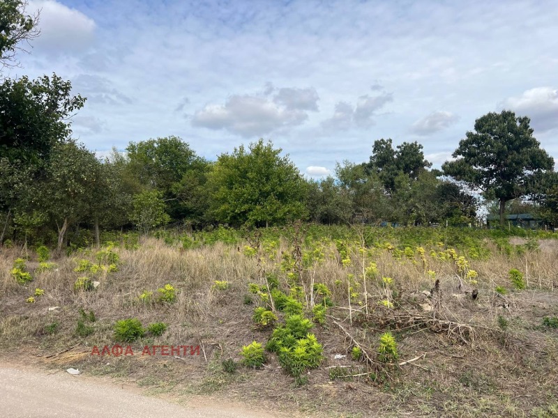 Na sprzedaż  Działka region Warny , Gabarnica , 985 mkw | 56001495 - obraz [5]