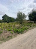 Продава ПАРЦЕЛ, област Варна, с. Габърница • 68950 € / 134854.48 лв. • 35734779 6