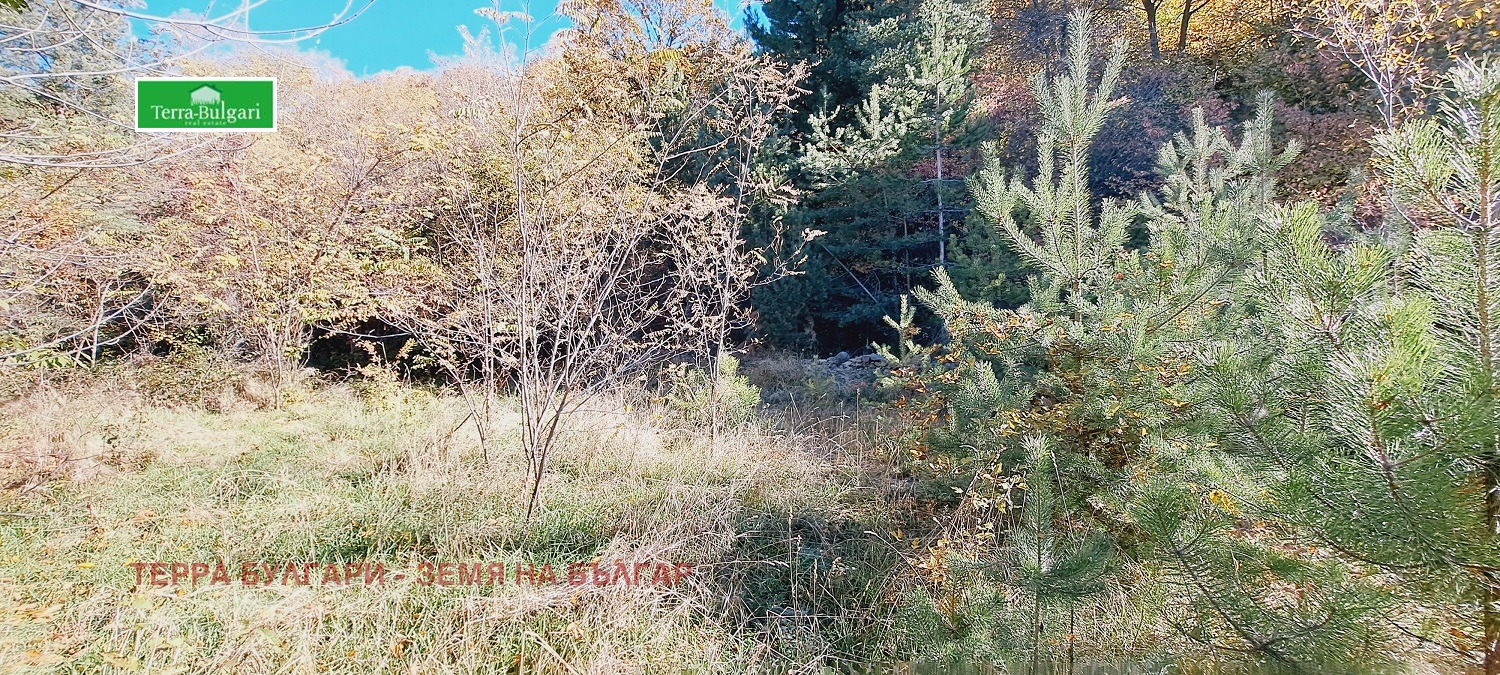 Продава ПАРЦЕЛ | Imot.bg — изображение 5