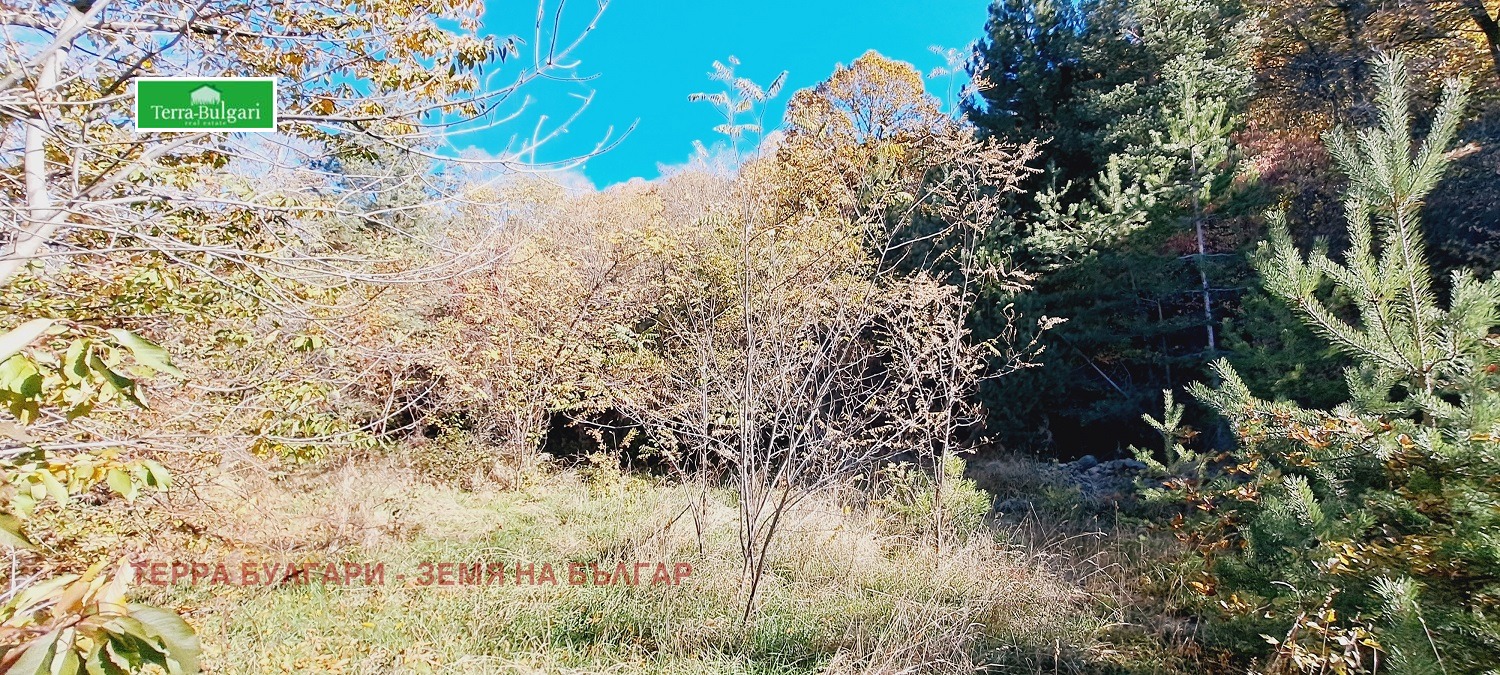 Продава ПАРЦЕЛ | Imot.bg — изображение 6