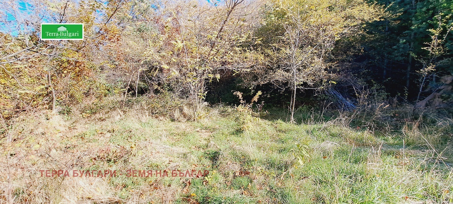 Продава ПАРЦЕЛ | Imot.bg — изображение 15