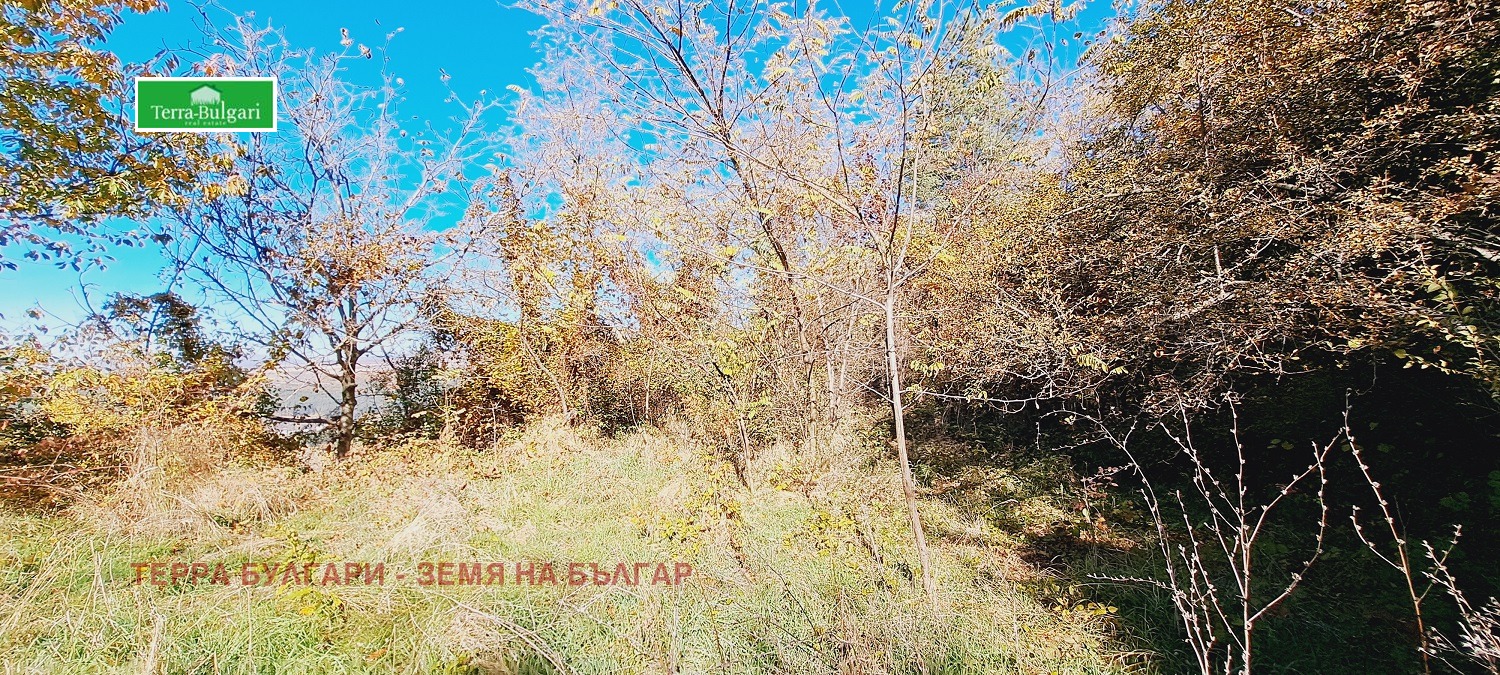 Продава ПАРЦЕЛ | Imot.bg — изображение 7