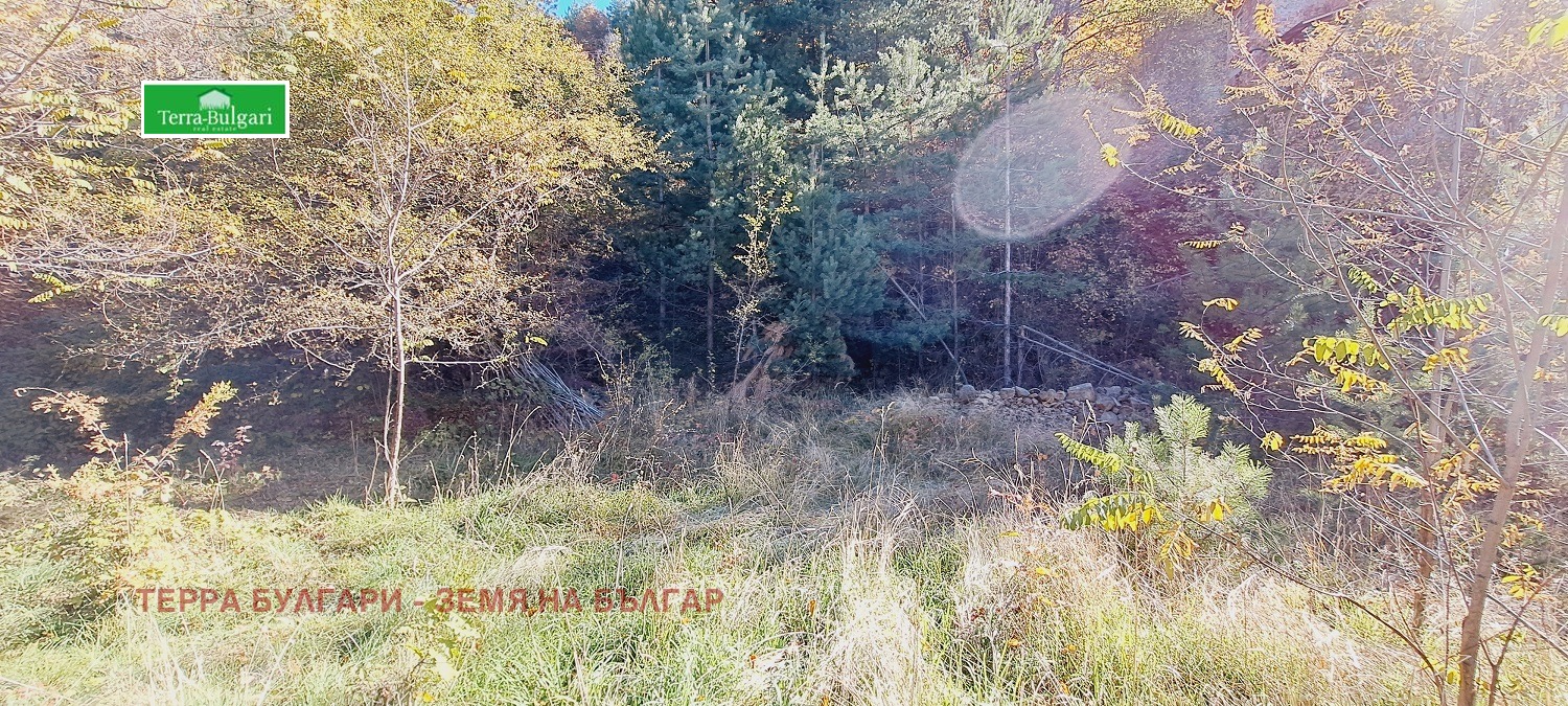 Продава ПАРЦЕЛ | Imot.bg — изображение 2