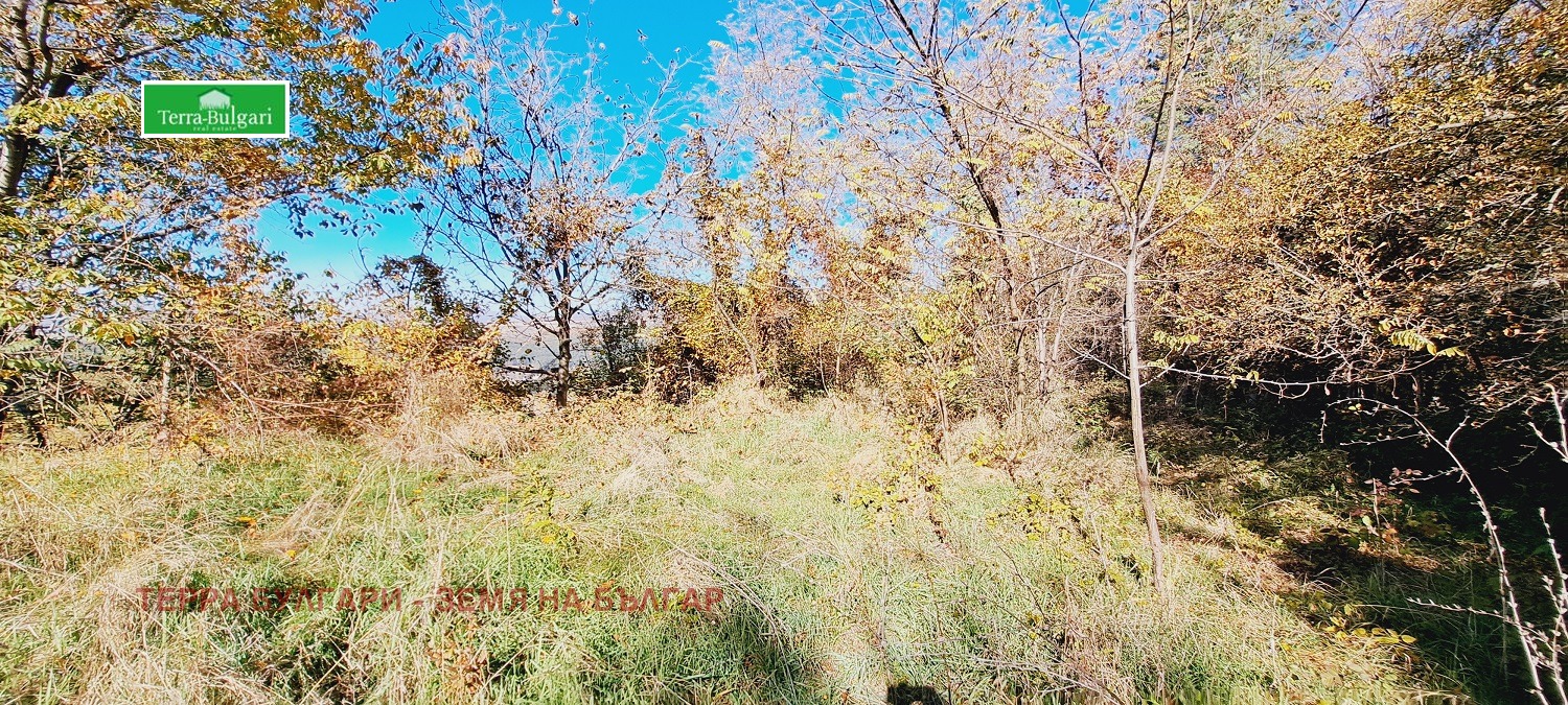 Продава ПАРЦЕЛ | Imot.bg — изображение 8