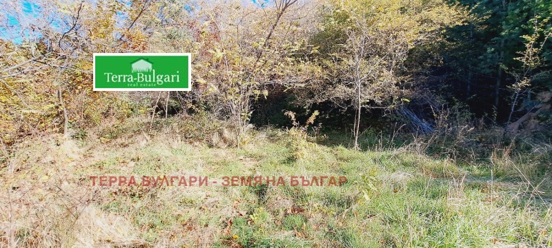 Til salg  Grund Sofia , Marchaevo , 3090 kvm | 48787010 - billede [15]