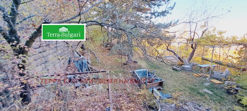 Til salg  Grund Sofia , Marchaevo , 3090 kvm | 48787010 - billede [11]