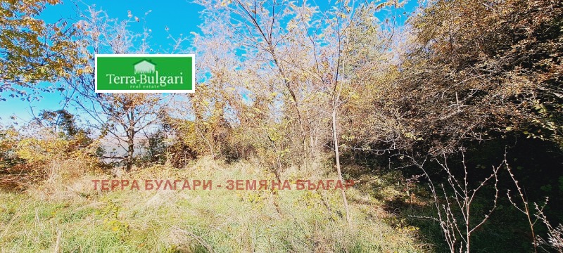 Til salg  Grund Sofia , Marchaevo , 3090 kvm | 48787010 - billede [7]