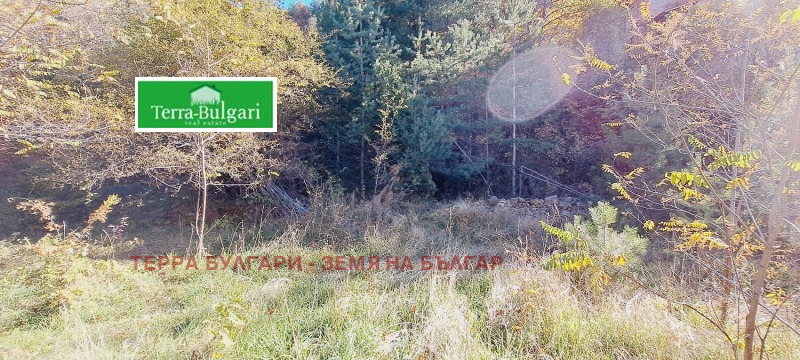 Til salg  Grund Sofia , Marchaevo , 3090 kvm | 48787010 - billede [2]