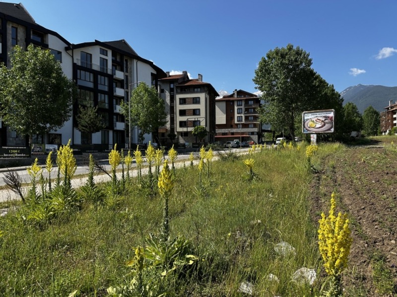 Продава  Парцел област Благоевград , гр. Разлог , 607 кв.м | 52548240 - изображение [8]