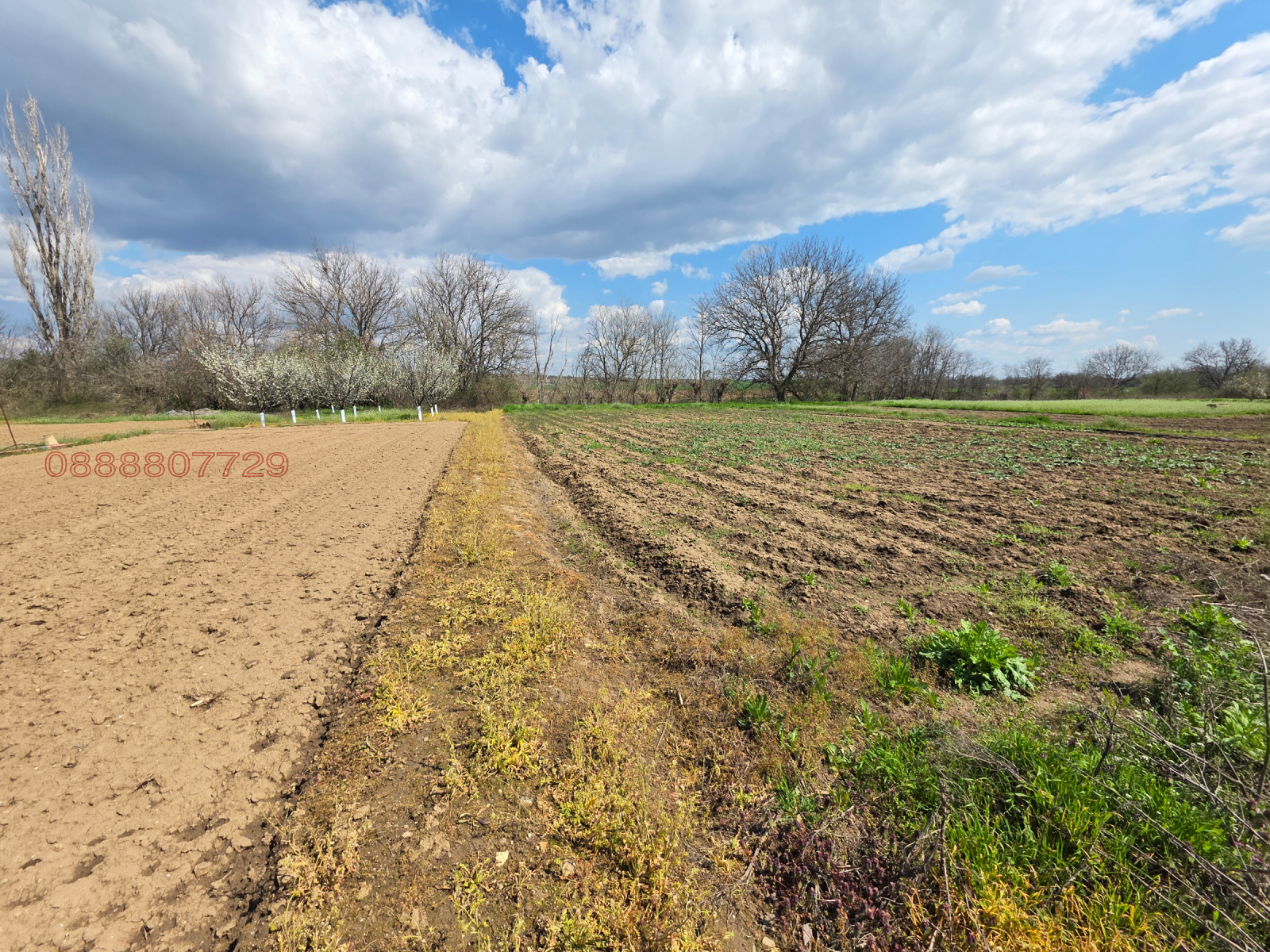Продава КЪЩА, с. Горно Белево, област Стара Загора, снимка 12 - Къщи - 54139846