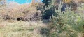 Продава ПАРЦЕЛ, град София, с. Мърчаево • 195000 € • 31215870 — Holmes.bg