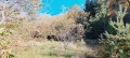 Продава ПАРЦЕЛ, град София, с. Мърчаево • 195000 € • 31215870 — Holmes.bg