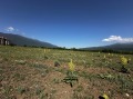 Продава ПАРЦЕЛ, област Благоевград, гр. Разлог • 51595 € / 100911.05 лв. • 41101065 6