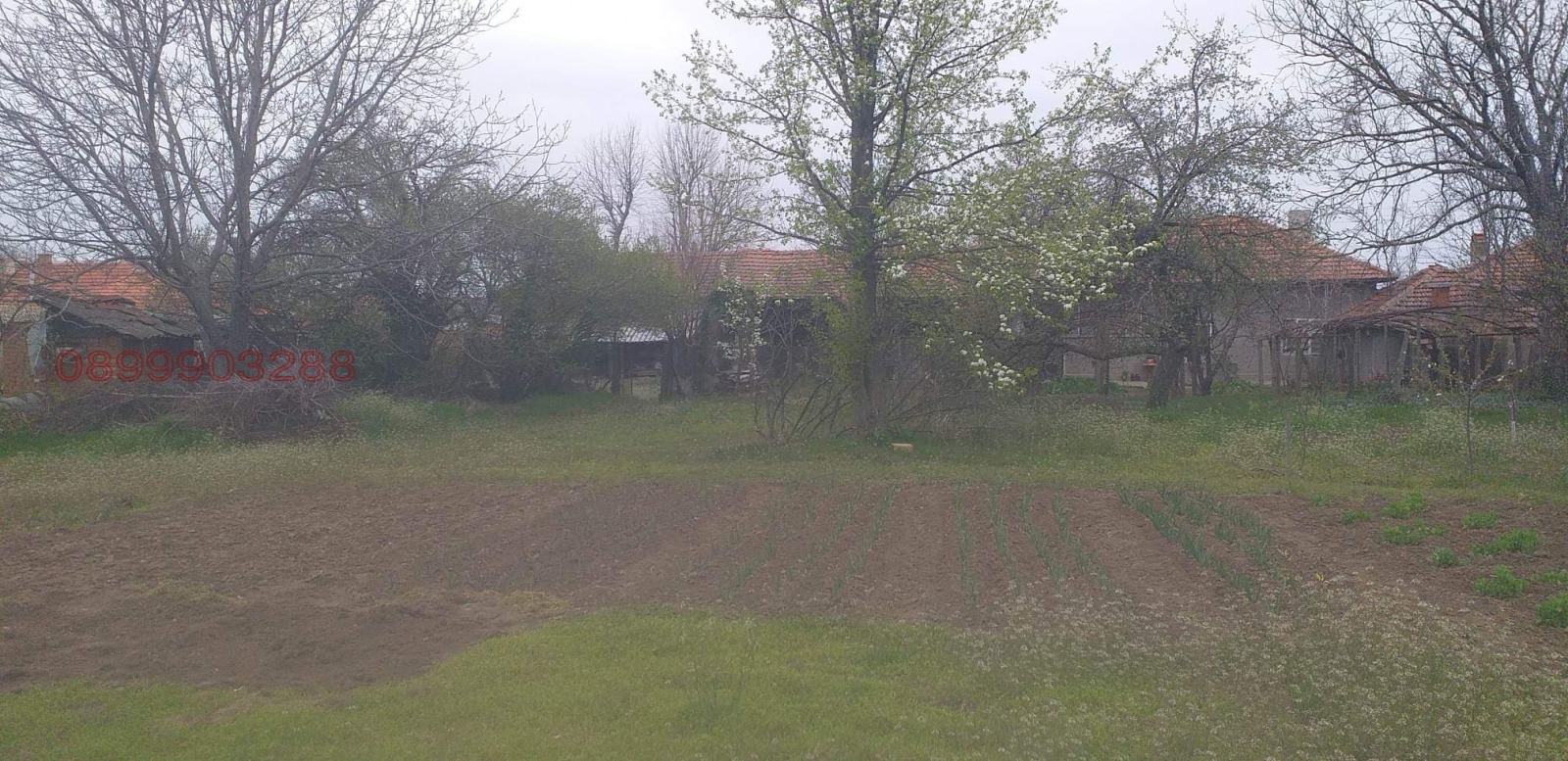 ������� ���� | Imot.bg � ����������� 10